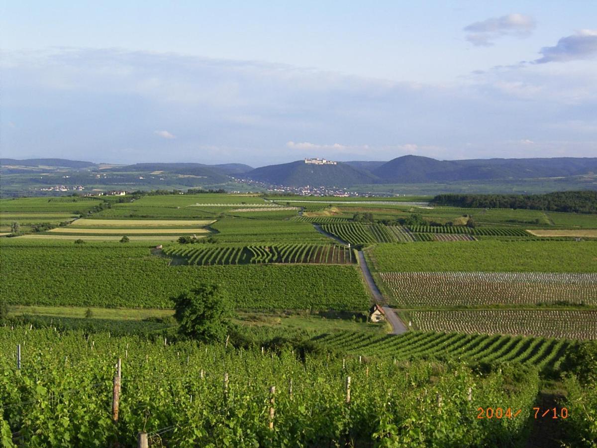 Asbacher Klosterkeller Stratzing Kültér fotó